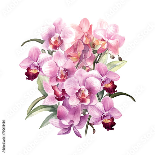 flower  orchid watercolor botanical  bloom