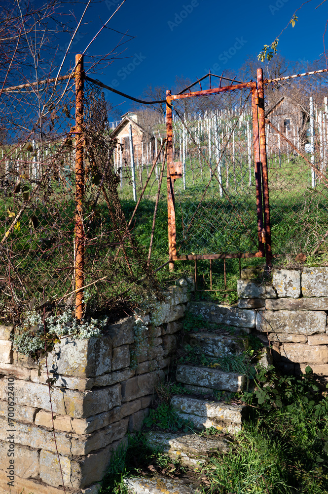 Alter Weinberg am Hang mit Mauer und altem Zaun am Lemberg bei