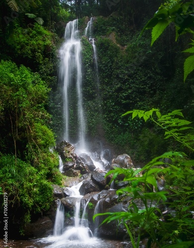 view of the twin waterfalls surrounded by green plants