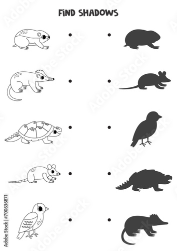 Find the correct shadows of black and white North American animals. Logical puzzle for kids. photo