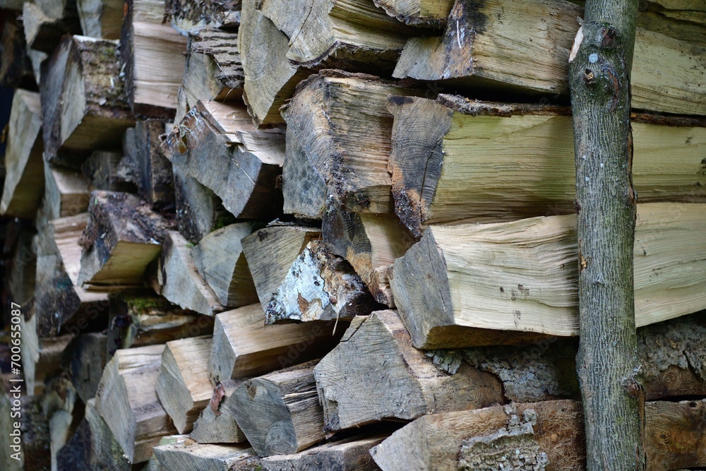Chopping wood in the garden in the village in autumn