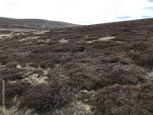 Paysage, Montagne, Mer, Coucher de soleil