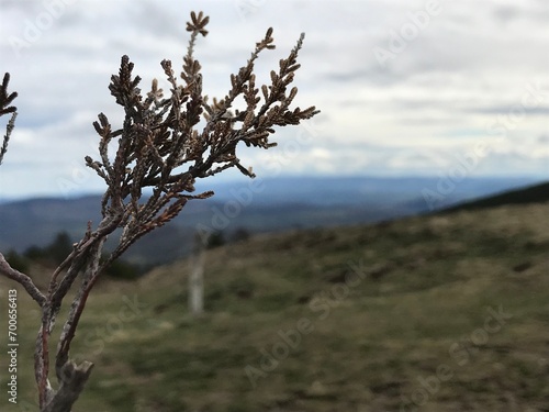 Paysage, Montagne, Mer, Coucher de soleil