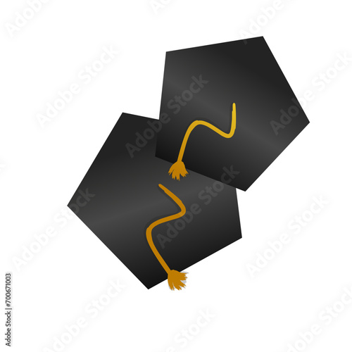 Eduacation Graduation Hat