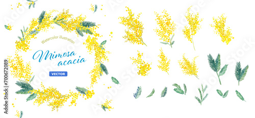 ミモザの水彩イラストの円形装飾フレーム。エレメントのセット（ベクター。レイアウト変更可能）
