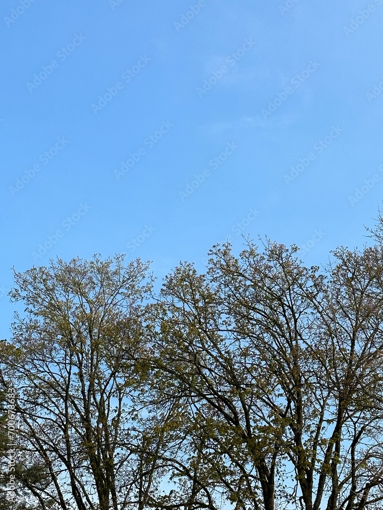 nature nature