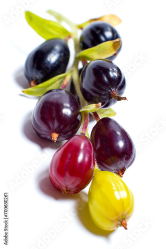 Ripe and healthy currants