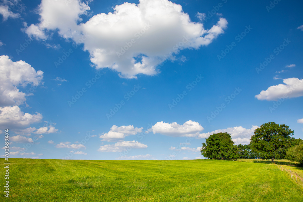Paysage de campagne au printemps, pâturage en pleine nature au milieu des champs de France. Paysage de campagne au printemps, pâturage en pleine nature au milieu des champs de France.