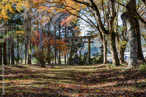 autumn in the park