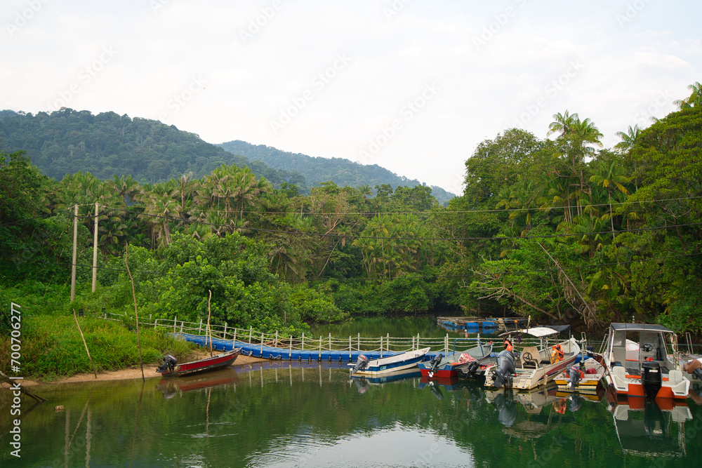 boats in a jungle lake