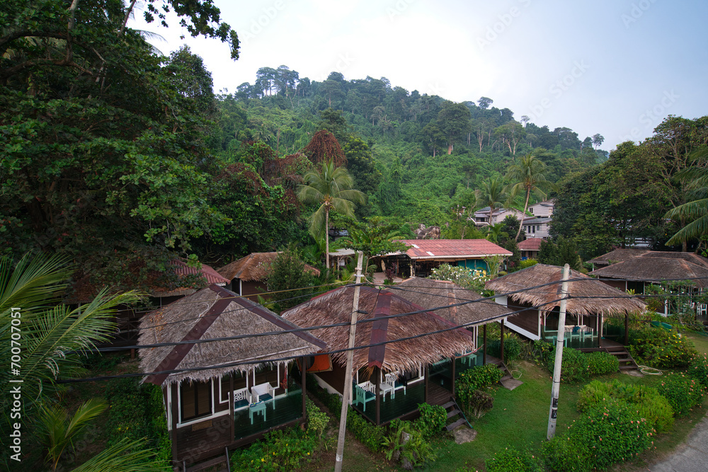 accommodations in the jungle