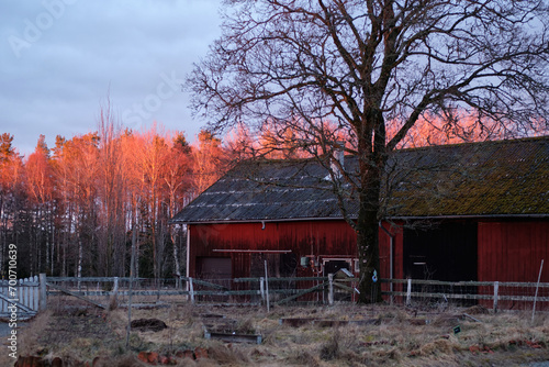 Magical sunset in winter in January over Bredebolet in Skaraborg in Vaestra Goetaland in Sweden photo