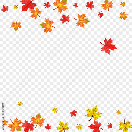 Orange Leaves Background Transparent Vector. Foliage Decor Texture. Ocher Forest Plant. Season Floral Illustration.