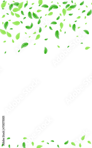 Greenish Sheet Background White Vector. Leaves Process Frame. Peaceful Card. Green Environmental Design. Greenery Ecology.
