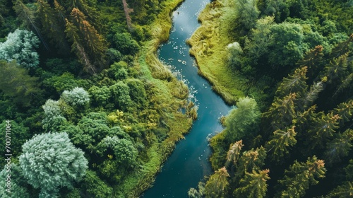 This aerial image  taken from a drone  beautifully captures a lush green forest 