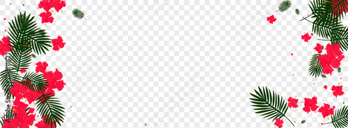 Green Plant Background Transparent Vector. Hibiscus Silhouette Frame. Yellow Foliage. Fashion Backdrop. Light Green Botany Design.