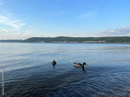 landscape with river