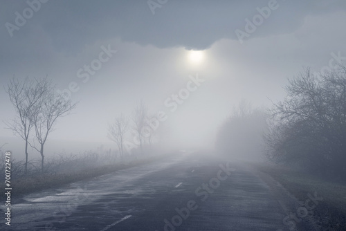 Spring landscape, the sun peeks through the thick fog and illuminates the trees by the road