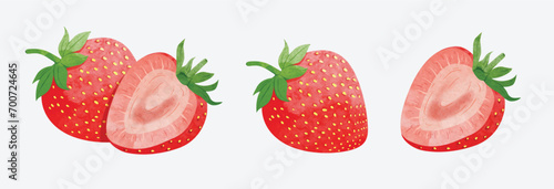 Fototapeta Naklejka Na Ścianę i Meble -  strawberry Design elements. watercolour style vector illustration.