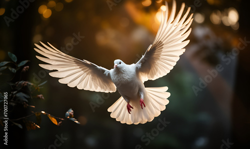 Flying white dove on a background of mountains in the rays of the setting sent White dove flying in the air. Freedom, peace and love concept.
AI Generative photo