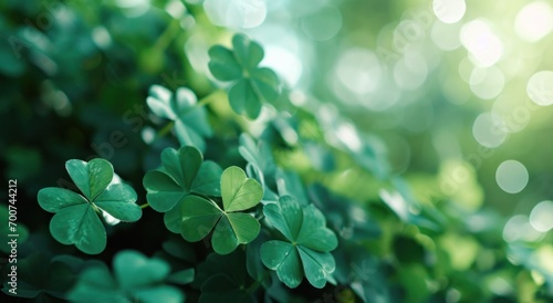 a green background with a bunch of clover leaves