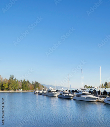 Stanley Park during a fall season near Deadman's Island and the Royal Vancouver Yacht Club in Vancouver, British Columbia, Canada photo