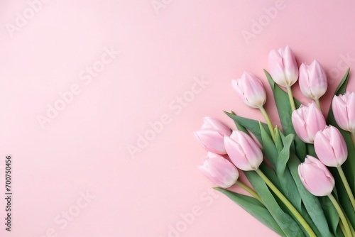 Pink tulip flowers on side of pastel pink background with copy space © Anamul Hasan