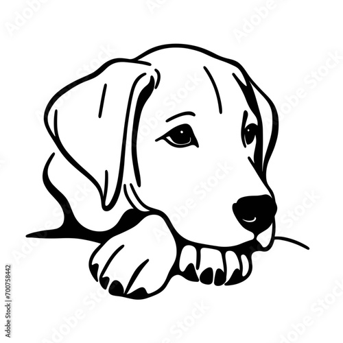 犬の線画。優しいシンプルな画風。アップのベクター画像。生成AIで作成された。