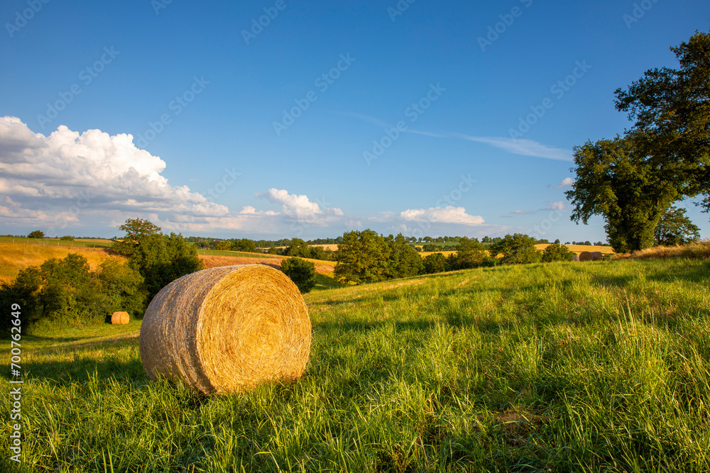 Meule de foin ou de paille au milieu des champs en été dans un paysage de France.