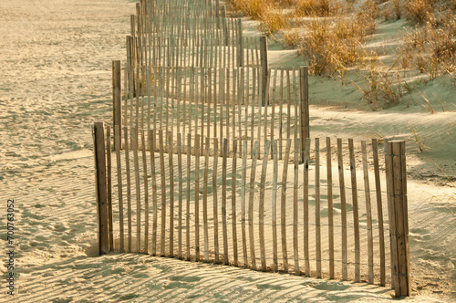 Fence Dunes Barrier 