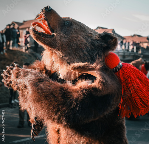 bear costumes worn for new years good luck dance in Romania photo