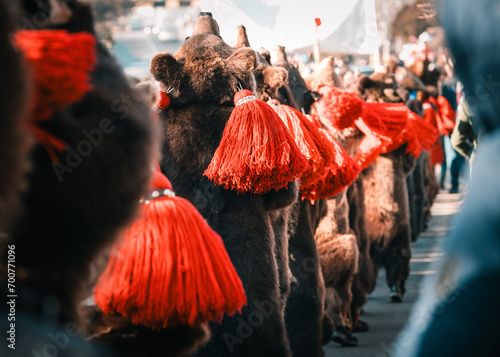 bear costumes worn for new years good luck dance in Romania