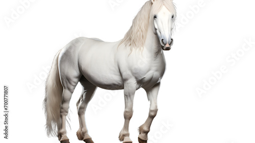 A majestic sorrel mustang horse with a flowing white mane gallops through a serene meadow, embodying the untamed spirit of the wild © Daniel