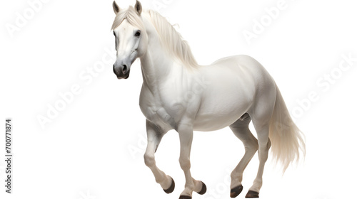 A majestic white stallion with a flowing mane gallops freely across the open fields  embodying grace  strength  and untamed beauty
