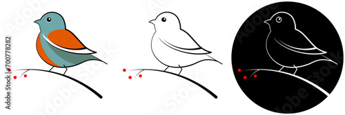 The little bird sits on branch with red berries. Simple outline sketch, vector minimalistic illustration. Three illustration options - black, white and color.