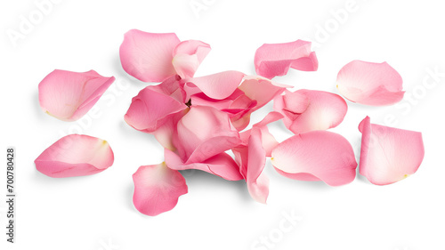 Set of pink rose flowers petals isolated on transparent background.
