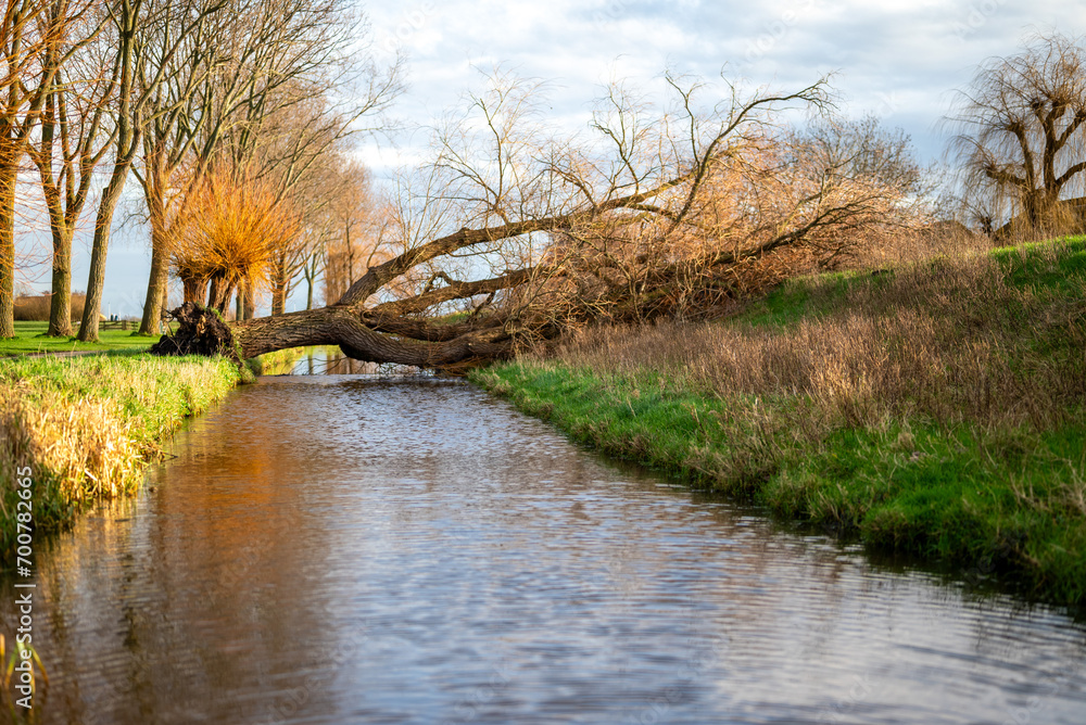 Photo autumn season of nature with a fallen tree across the river. Photo autumn season of nature with a fallen tree across the river.