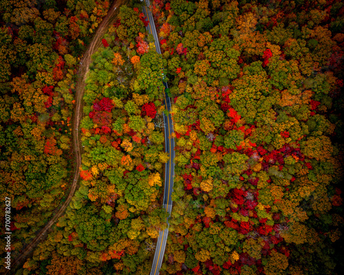 Birds Eye view over fall foliage photo