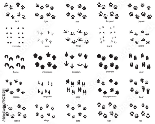 Set of footprints of wild animals, illustration of black silhouette