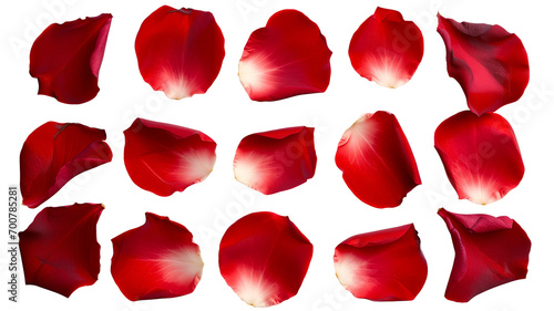 Fényképezés Set of red rose flowers petals isolated on transparent background