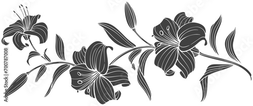 Vector of black silhouettes of lily flowers isolated on a transparent background.
