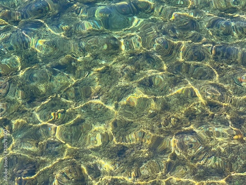 Seabed underwater clear water seaweed on the ocean floor.  © OLENA