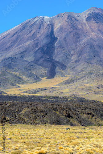 Volcán Tromen - Parque Provincial El Tromen - Neuquén photo