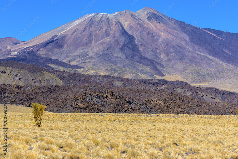 Obraz premium Volcán Tromen - Parque Provincial El Tromen - Neuquén