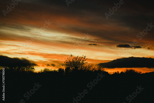 Fiery sunset sky with orange blue clouds. Dramatic cloudscape and contrast trees silhouette in a twilight sunlight. Dark nature scene. Day into night.