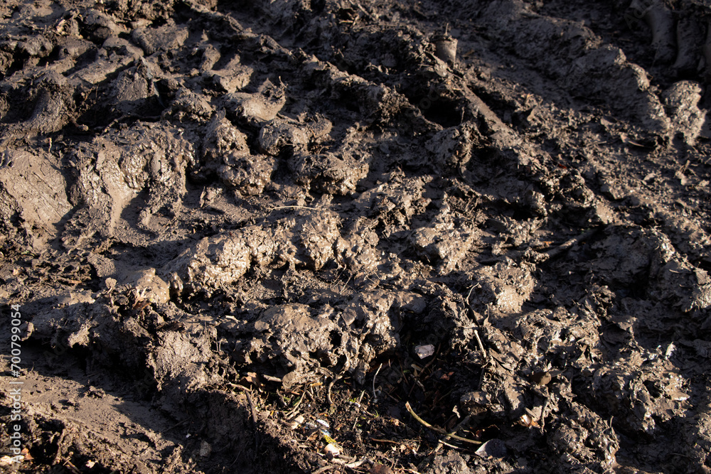 Wet soil on a road in Ukraine during the day in the sun as a background Wet soil on a road in Ukraine during the day in the sun as a background