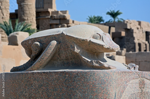 Skarabäus im Karnak-Tempel, Luxor, Ägypten photo