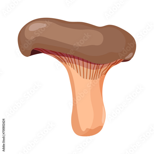 Paxillus involutus cartoon mushroom. Flattering mushroom in pastel colors on a white background. Vector illustration. Organic, poisonous mushroom. Type of forest mushrooms.