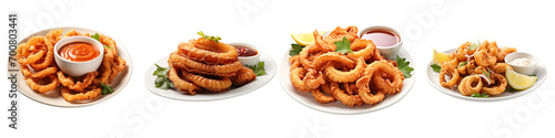 Plate of Fried Calamari  Hyperrealistic Highly Detailed Isolated On Transparent Background Png File
