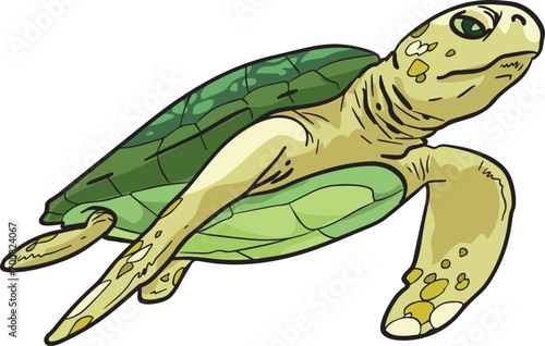 Turtle Sea Wild Animal Vector Illustration